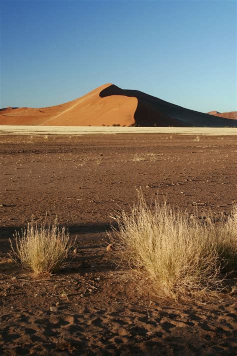 Namib desert, Namibia - Sand Dune Free Photo Download | FreeImages