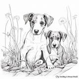 Greyhound Coloring Pages  Free & Printable sketch template