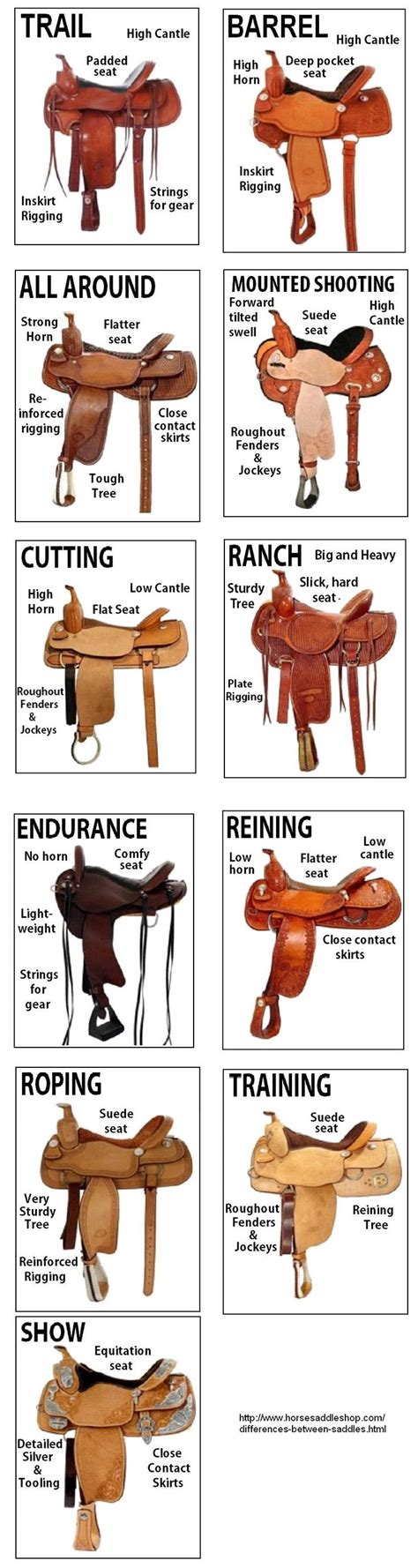 western saddle comparisons | Horse facts, Horse saddles, Horse tack