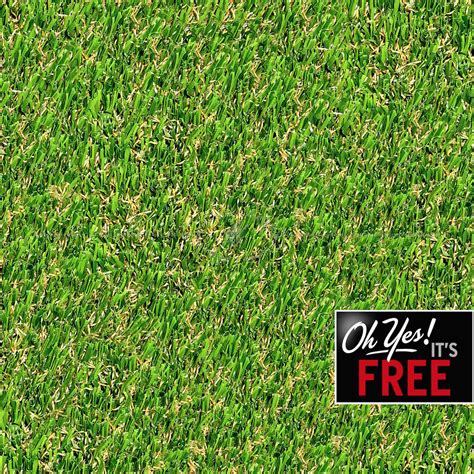 grass cutted PBR texture seamless 21443