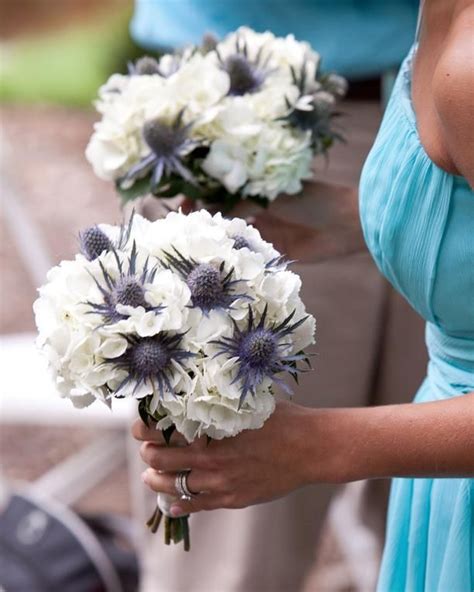 Bridal boquet with blue Thistle and white Hydrangeas | Thistle bouquet, Blue wedding flowers ...