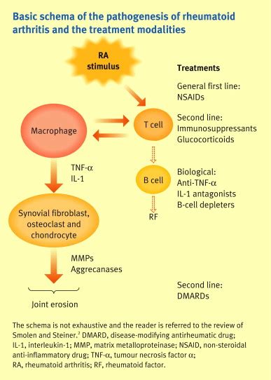 Disease-modifying antirheumatic drugs - Anaesthesia & Intensive Care Medicine