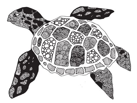 Turtle Patterns To Trace