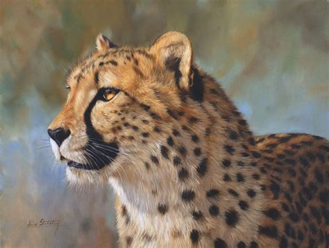 Wildlife Art,wildlife artist,original Paintings of animals and birds by ...