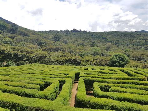 Laberinto de Apaneca - Ruta de las flores. : ElSalvadorPics