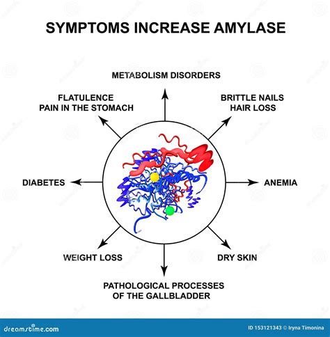 Symptoms of Increased Amylase. the Enzyme Amylase. Infographics. Vector Illustration on Isolated ...