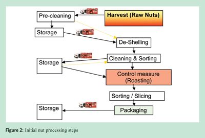 Microbiological safety of chocolate confectionery products - New Food ...