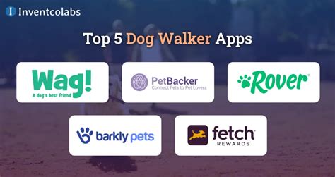 How To Develop an Dog Walker App? A complete guide