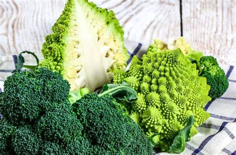 5 Best Broccoli Varieties For Your Garden | Gardening is Great