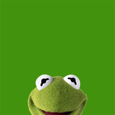 Kermit the Frog Wallpapers - Top Free Kermit the Frog Backgrounds - WallpaperAccess