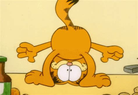 Garfield Funny GIF - Garfield Funny - Discover & Share GIFs