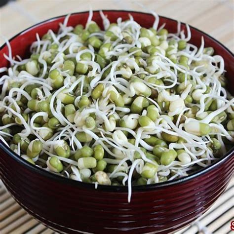 Mung Bean Sprouts, How to Sprout Mung Beans - Swasthi's Recipes