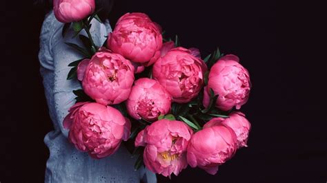 Pink Peonies Wallpaper - Peony (#899884) - HD Wallpaper & Backgrounds ...