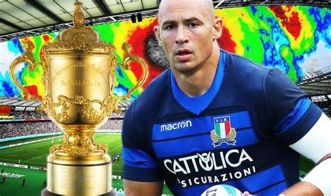 Rugby World Cup: World Rugby in the dock as lack of Typhoon Hagibis ...