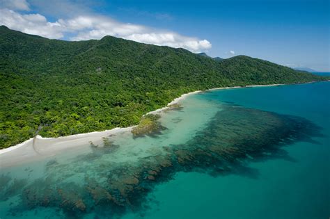 Cape Tribulation, Daintree National Park - Tropical North QLD