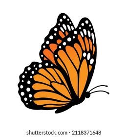 Monarch Butterfly Side View Vector Illustration Stock Vector (Royalty Free) 2118371648 ...