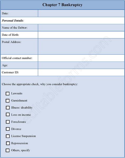 Chapter 7 Bankruptcy Form | Editable PDF Forms