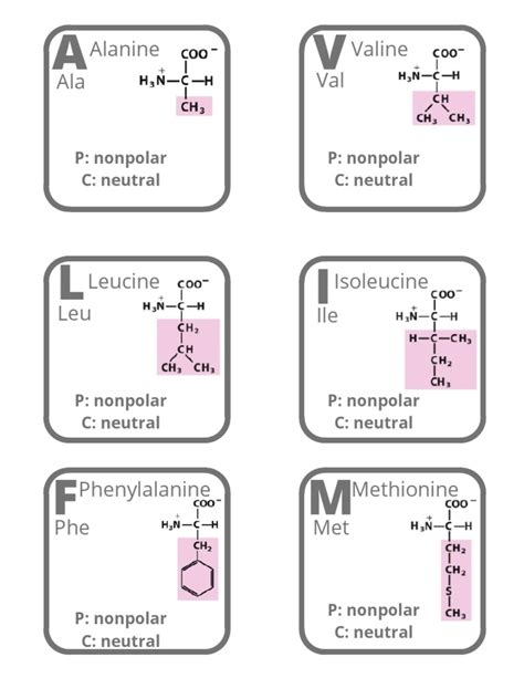 Amino Acids - Flashcards-1 | PDF