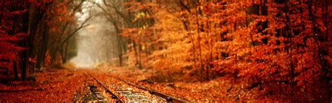 Train tracks covered with autumn leaves Wallpaper Download 2880x900