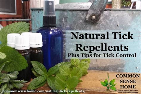 Natural Tick Repellents and Easy Tick Control Tips