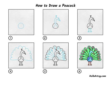 How to Draw Easy Pictures of Peacock - Oakes Deord1995