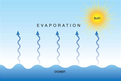 Evaporation - The Water Cycle