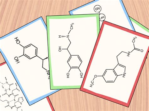 How to Study the Functions of Protein Hormones in Humans: 11 Steps