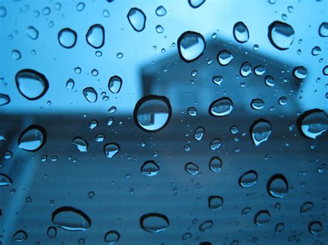 raindrop reflections | I think it's cool how raindrops are l… | Flickr