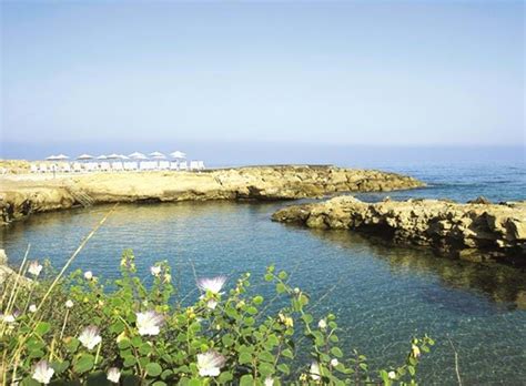 Cynthiana Beach Hotel in Paphos, Cyprus | Olympic Holidays