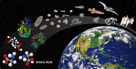 10 The Origin of Life - True Bible Teaching