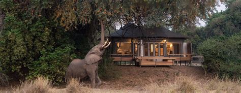 The Best Luxury Safari Lodges & Camps in Zimbabwe