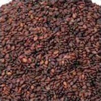 Sesame Seeds Suppliers, Exporters, Manufacturers