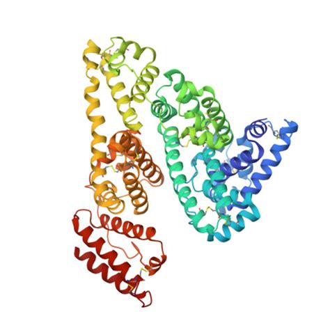 RCSB PDB - 1E78: Crystal structure of human serum albumin