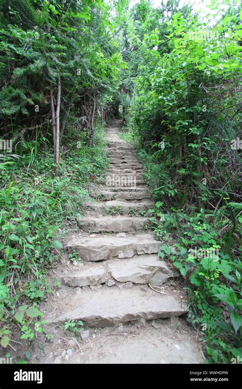 Hiking trail in China Stock Photo - Alamy