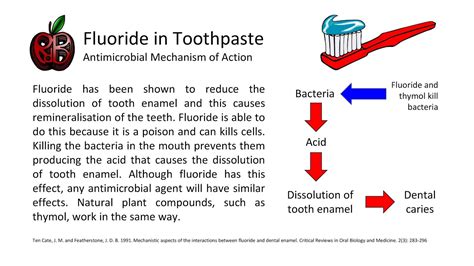 www.RdBNutrition.com: Fluoride in Toothpaste