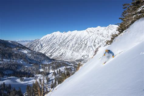 Snowbird Ski Resort | Snowbird Ski Lodge | Snowbird Skiing