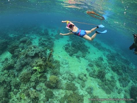 Snorkeling Around Apo Island, Philippines - Happy and Busy Travels