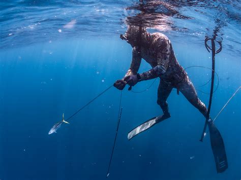 Spearfishing Course Bali - Freediving and underwater hunting