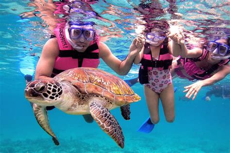 35 Best Snorkeling Spots in Cancun (with Map) - TourScanner