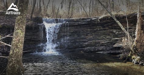 10 Best hikes and trails in DeSoto State Park | AllTrails