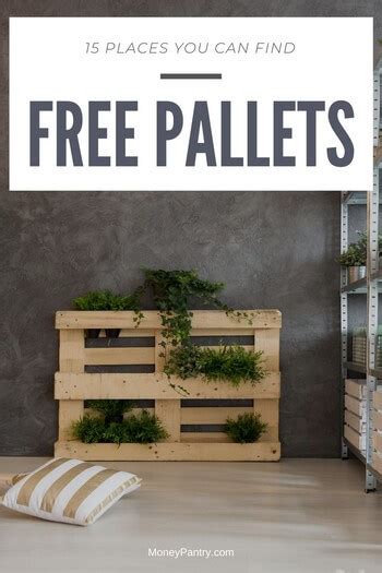 15 Best Places to Find Free Pallets Near You! - MoneyPantry