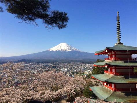 8-Day Japan Winter Itinerary For Less Than S$1.2k — Fox Village, Snow ...