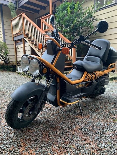 Rare - Honda BIG Ruckus! 250CC - tough, fun and reliable! | Classifieds for Jobs, Rentals, Cars ...