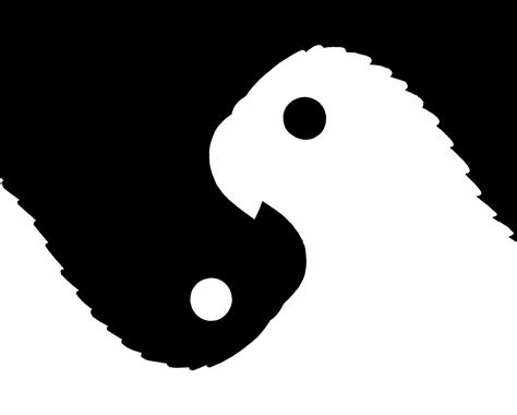 "Yinyang Parrots Figure-Ground Reversal" by MichelleLyon | Redbubble
