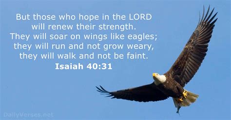 November 30, 2014 - Bible verse of the day - Isaiah 40:31 - DailyVerses.net