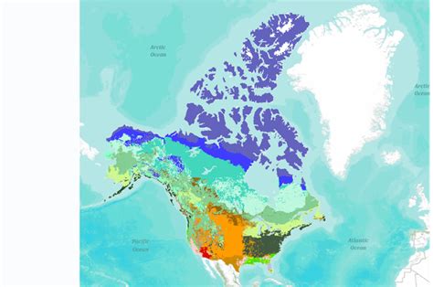 Vegetation Type for the United States and Canada Simulated for the years 2070-2099 as Simulated ...