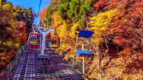 Mt. Takao Autumn Leaves Festival: An Explosion of Vibrant Colours