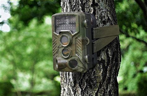 The 6 Best Trail Cameras Under $100 - [2021 Reviews]