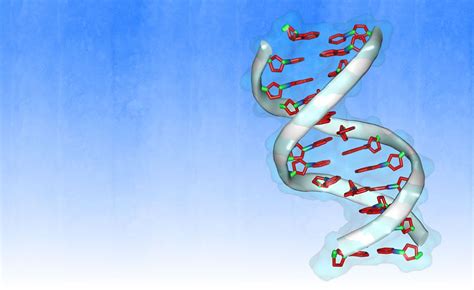 CUHK Molecular Biotechnology Programme - Molecular Biotechnology - The Chinese University of ...