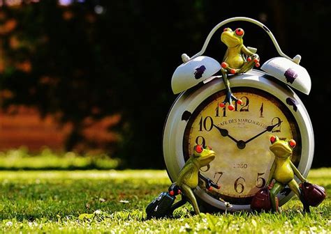 Best Alarm Clock With Nature Sounds